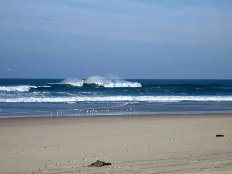 ocean.jpg