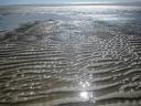 reflets